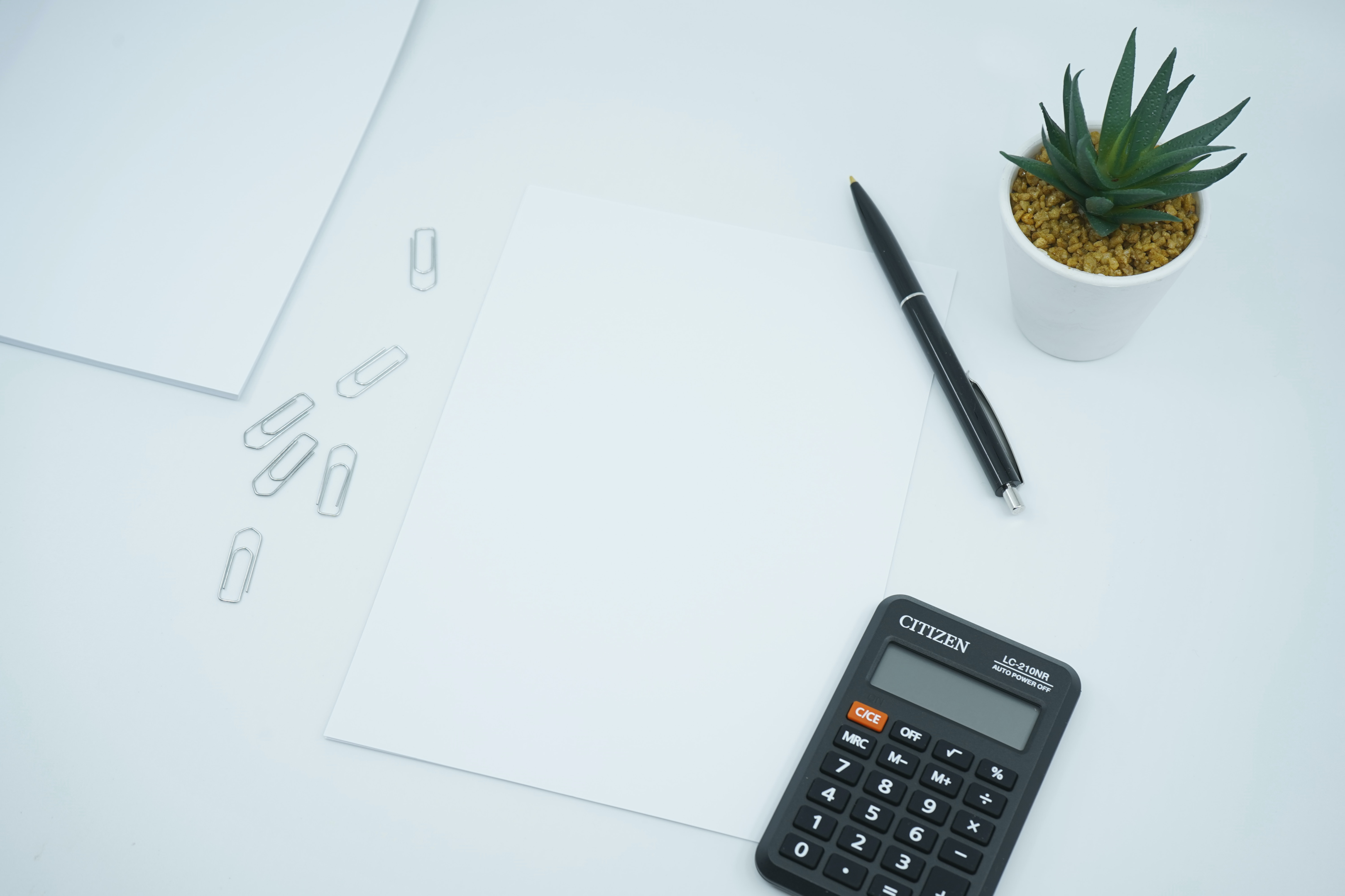 Develop a brand identity and visuals that won't break the bank - budget-friendly strategies for developing brand identity