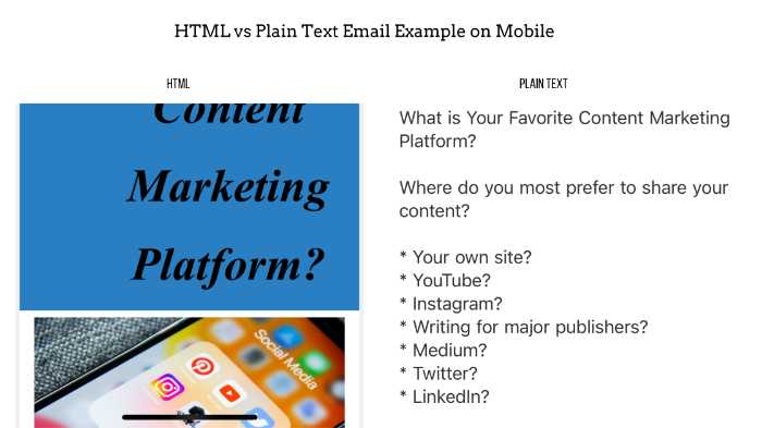 HTML vs Plain Text: You Don't Have to Choose 6 HTML vs plain text email example on mobile device
